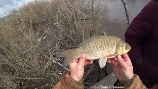 Паук и хапуга. На что поймаем больше?