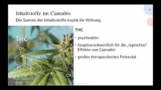 Webinar: Einsatz von medizinischem Cannabis bei psychischen Problemen mit Dr. med. Konrad Cimander