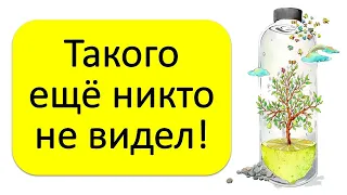 Так Вы ещё не видели. Поставьте стакан с солью в доме, и вы будете в восторге от результата