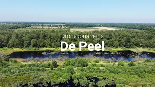 Droneopnamens De Peel - 2019