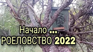 Роеловство 2022. Самая простая укомплектовка и установка ловушек.