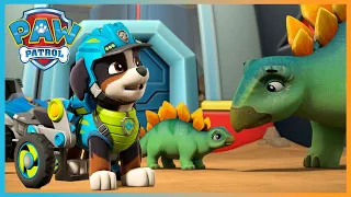 Chase Saves a Silly Squid 🦑 from a Museum and More! | PAW Patrol | Cartoons for Kids