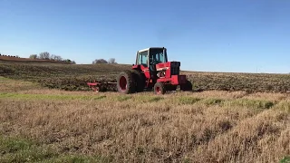 IH 1086 with IH 5500 chisel plow