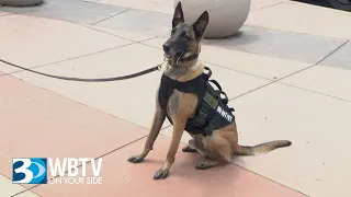 A Behind-The-Scenes Look At New Security Measures At Northlake Mall