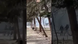 Russian army firing on civilians in kherson