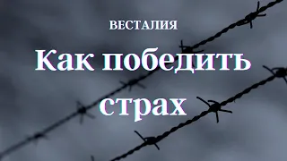 Что нужно знать о страхах. #Страхи #Весталия #школаСорадение