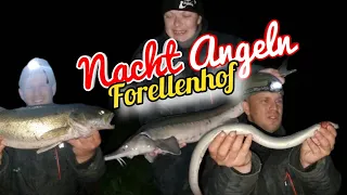 Nachtangeln am Forellenhof auf verschiedene Arten mit Köderfisch und Wurm S8 F7