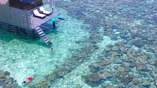 A Tropical Haven: Shangri-La's Villingili Resort & Spa, Maldives