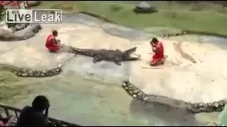 Terrifying moment crocodile snaps its jaws shut with trainer's head inside at Thai tourist attractio