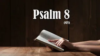 Psalm 8 (NIV)