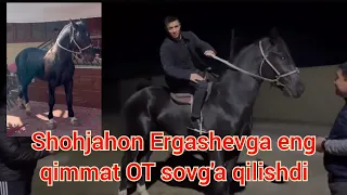 Shohjahon Ergashenni Qirg'izistonlik muxlisi zotdor ot sovg'a qildi