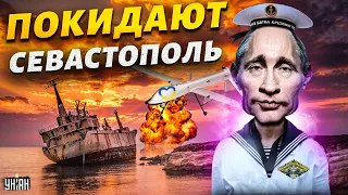 Черноморский флот покидает Севастополь. Россия выводит корабли из-за ударов ВСУ
