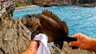 Green Cape Rock Fishing NSW Caught A Rock Cod! Using Rocks Crabs For Bait