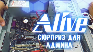 "Сюрприз" для Админа - Alive #59