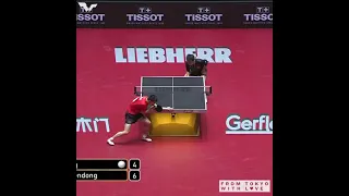 Best Fan Zhendong vs Ma Long moments