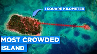 The Most Crowded Island in the World