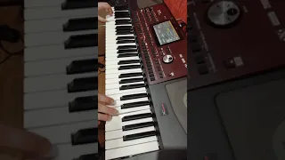 KORG PA700 песенка о ДОБРОТЕ из м/ф приключения поросенка Фунтика