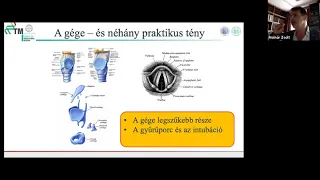 SOKK (Savaria OKtatási Kurzus) - 1. Élettan a betegágynál - I. Légút, légzés, oxigén terápia