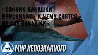 «Сонник Какашки приснились, к чему снятся во сне Какашки»