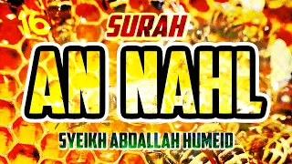 SURAH AN NAHL - ABDALLAH HUMEID - FULL CHAPTER