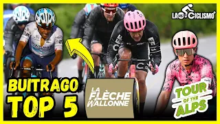 🚨BUITRAGO Y CARAPAZ GRAN CARRERA EN FLÉCHE WALLONNE🚨TOUR DE LOS ALPES 2024🚨🚵‍♂️ LA VOZ DEL CICLISMO