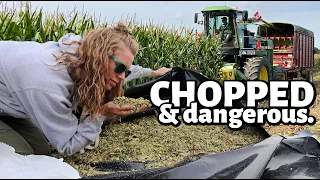 CHOPPED...and dangerous? | HARVESTING THREE FALL FORAGES and a SCARY reminder.  | Vlog 621