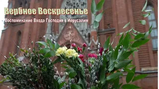 Св. Месса Вербного Воскресенья  с участием детей 02.04.2023 в 11:45