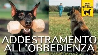 ADDESTRAMENTO ALL'OBBEDIENZA trailer documentario (cani e cinofilia)