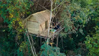 Amazing! Girl Build The Most Beautiful Bamboo Tree House