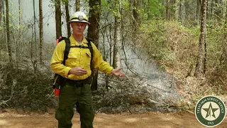 What is a prescribed burn?