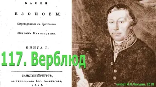 117. Верблюд. Басни Эзопа в переводе И.Мартынов