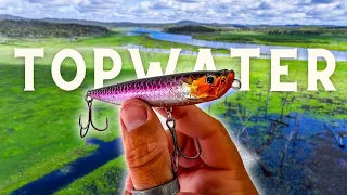 Giant Fish, Explosive Topwater Strike!