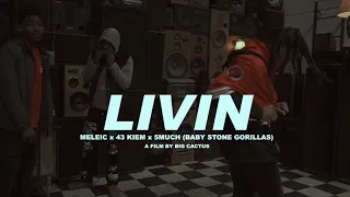 Meleic - LIVIN feat. 43kiem, 5much (BABY STONE GORILLAS)