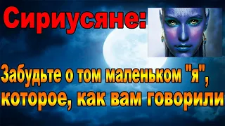 Сириусяне: ВЫ хозяева Вселенной #Эра просветления