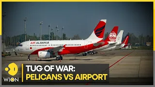 Albania Airport poses threat to birds I WION Climate Tracker I WION