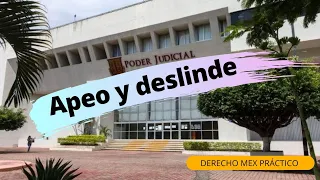 El apeo y deslinde 👷🏽‍♂️ 🦺 en menos de 10 minutos 🧑‍💻 Clase en línea ⚖🦉⚖ Derecho Mex Práctico