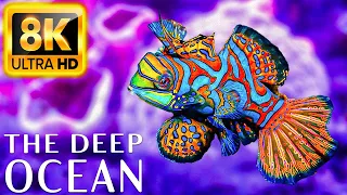Discovering The Deep Ocean 8K ULTRA HD - Beautifully Relaxing Coral Reef Fish