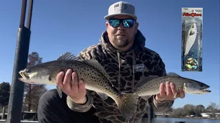 Mastering MirroLures: Catching solid Speckled Trout on MR17s (New Skin Series Mullet)