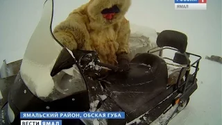 На какие только хитрости не идут браконьеры, лишь бы не поймали с поличным