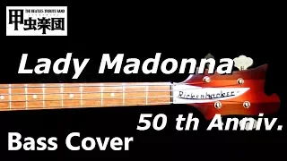 Lady Madonna (The Beatles - Bass Cover) 50th Anniversary