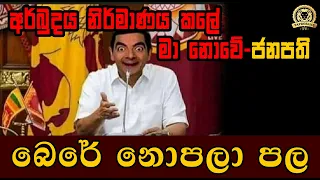 අර්බුදය නිර්මාණය කලේ මා නොවේ - ජනාධිපති |  දියසෙන් කුමාරයා | BUKIYE WISTHARE | TAPROBANE TV