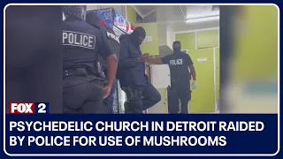 Psychedelic church in Detroit raided by police for use of mushrooms