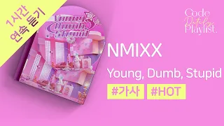 엔믹스 (NMIXX) - Young, Dumb, Stupid 1시간 연속 재생 / 가사 / Lyrics