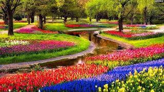 10 Best FLOWER GARDENS in the World