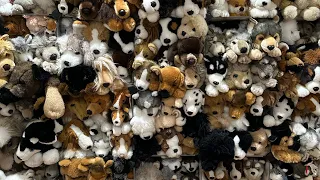 Dog and Wolf Plush collection 2022