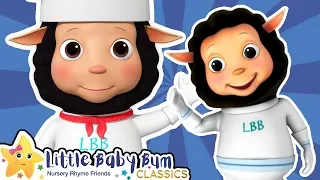 Baa Baa Black Sheep Songs | Best Baby Songs | Kids Cartoons | Nursery Rhymes | Little Baby Bum