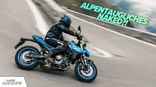 Brilliert die Vergleichs-Siegerin auch am Stelvio? Suzuki GSX-8S im Intensiv-Alpentest!