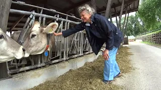 Молочная Ферма в Швейцарии.Жизнь людей из Украины