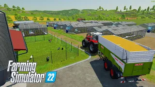 Выбираем и подготавливаем поле под новое производство, очередная продажа в FARMING SIMULATOR 22 #30