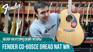 Обзор электроакустической гитары Fender CD-60SCE Dread Nat WN | SKIFMUSIC.RU